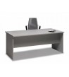 Mesa de oficina con pata total panel