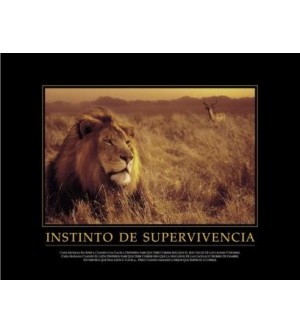 Cuadro Instinto de Supervivencia