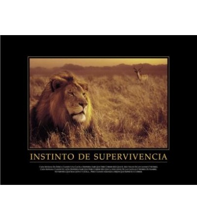 Cuadro Instinto de Supervivencia