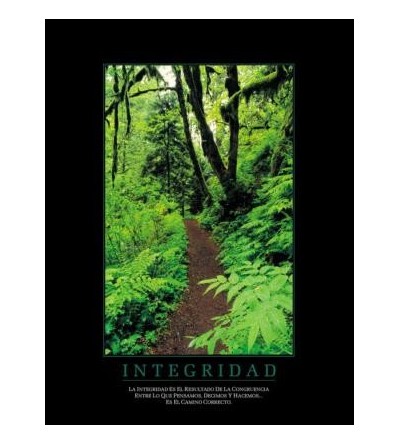 Cuadro Integridad