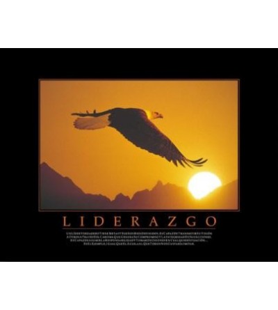 Cuadro liderazgo