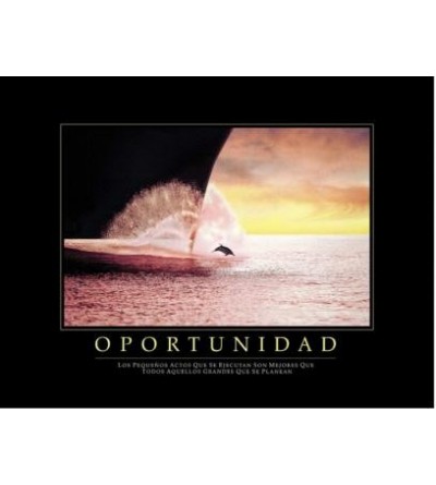 Cuadro Oportunidad Delfín