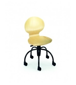 Silla ruedas 516