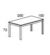 Mesa de oficina 200*100*72