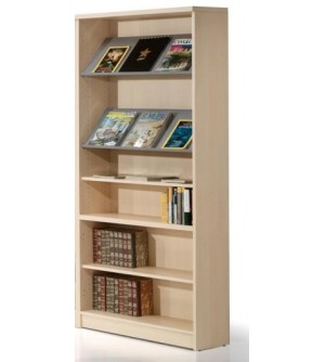 Estantería biblioteca
