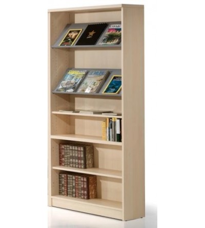 Estantería biblioteca