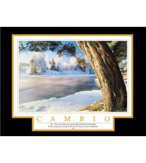 Cuadro Cambio Nieve