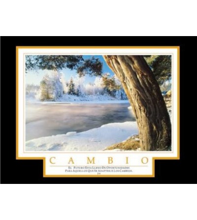 Cuadro Cambio Nieve